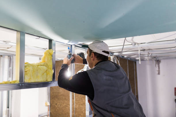 Best Residential Insulation in Floresville, TX