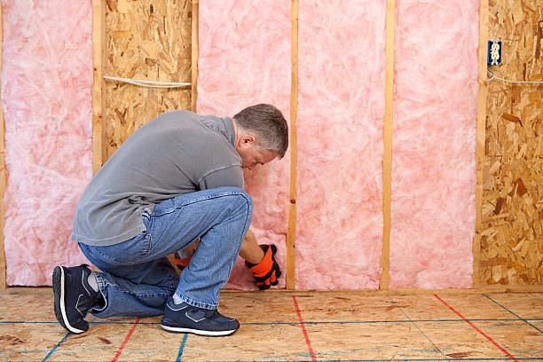 Types of Insulation We Offer in Floresville, TX